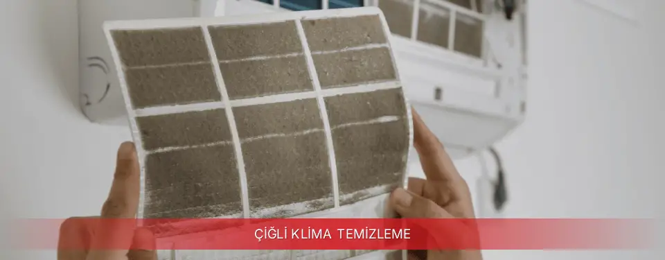 Çiğli İlçemi Finlux Klima Temizleme